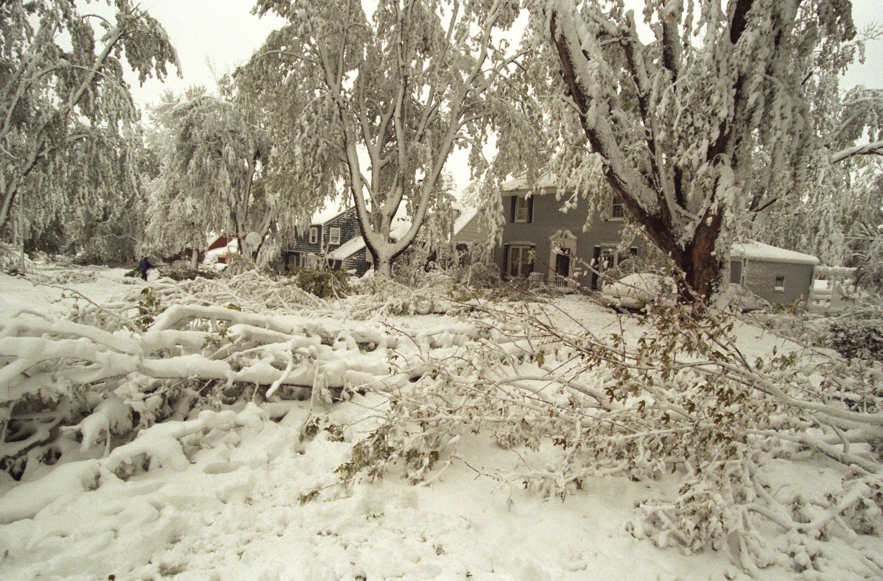 A snow and ice storm downed several trees and power lines due to the weight of the snow and ice accumulated on them.